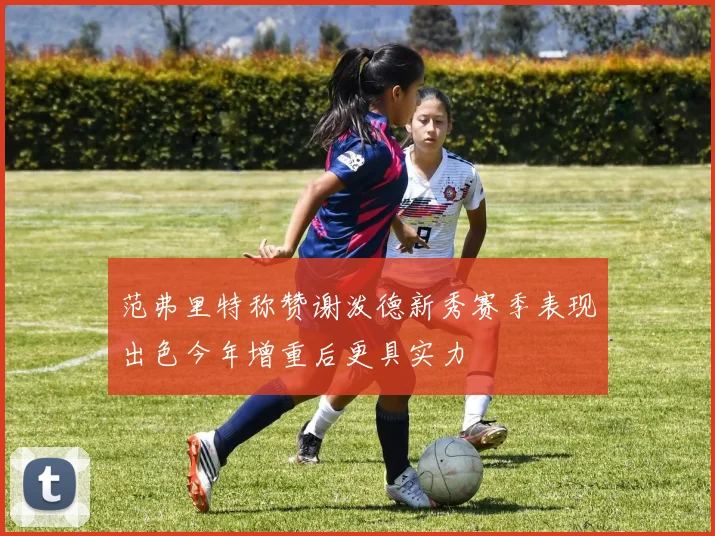 范弗里特称赞谢泼德新秀赛季表现出色今年增重后更具实力
